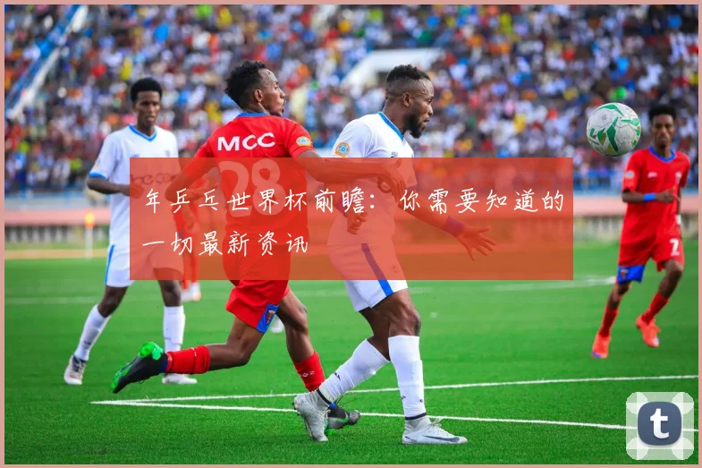 年乒乓世界杯前瞻：你需要知道的一切最新资讯