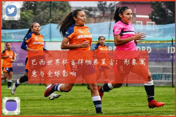 巴西世界杯吉祥物弗莱古：形象寓意与全球影响