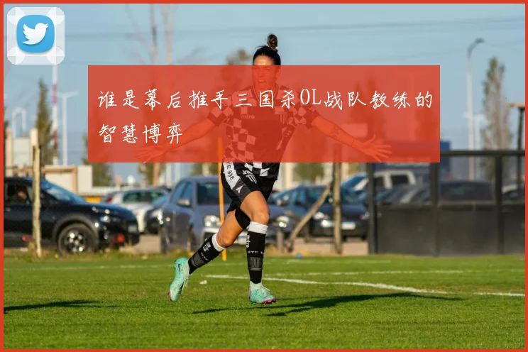 谁是幕后推手三国杀OL战队教练的智慧博弈